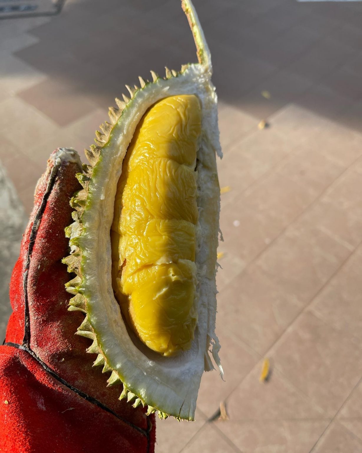 It's durian season in Singapore. What should you pick? HungryGoWhere