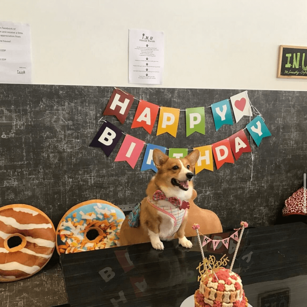 INU cafe_doggie celebrations