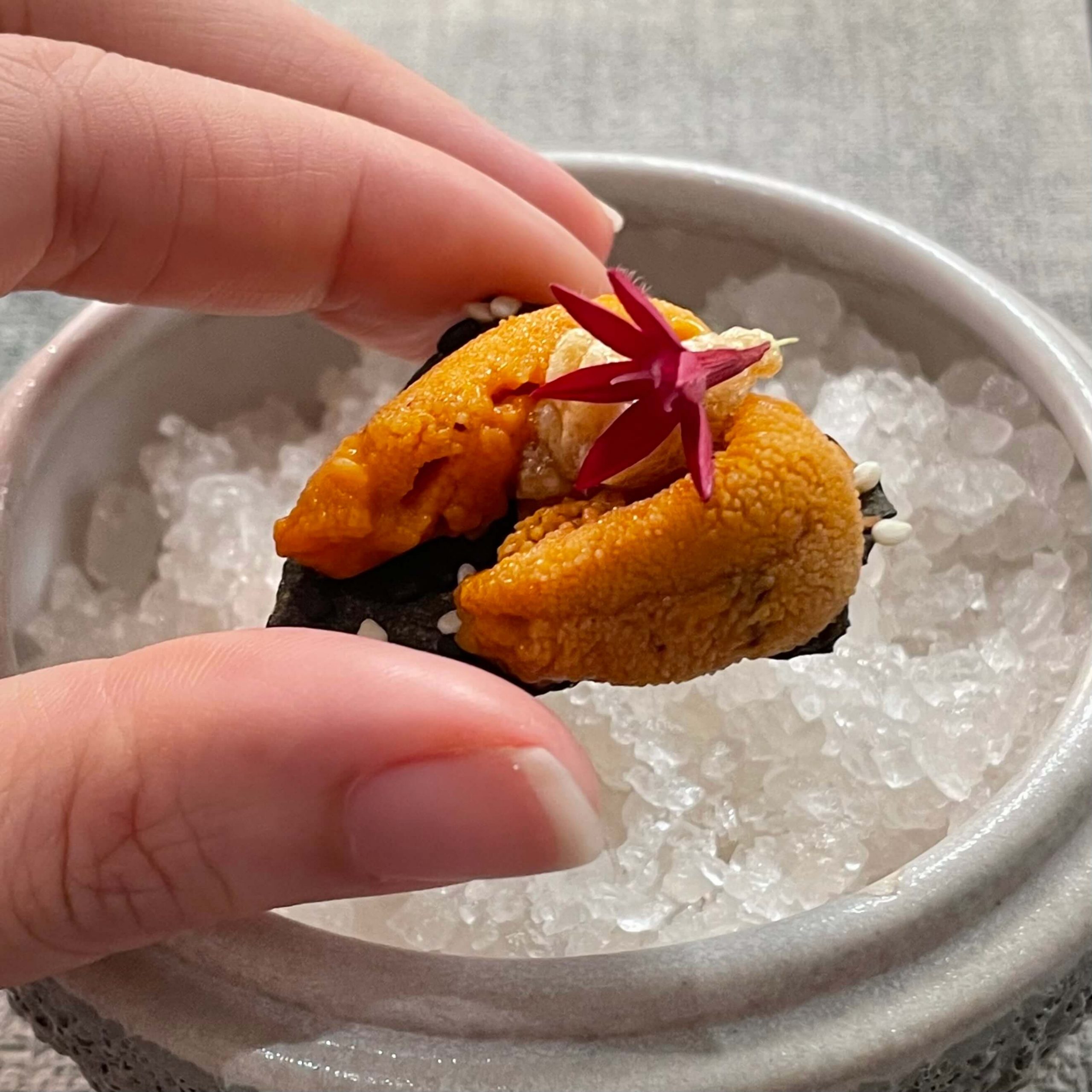 sonder_hungrygowhere_amuse bouche bafun sea urchin