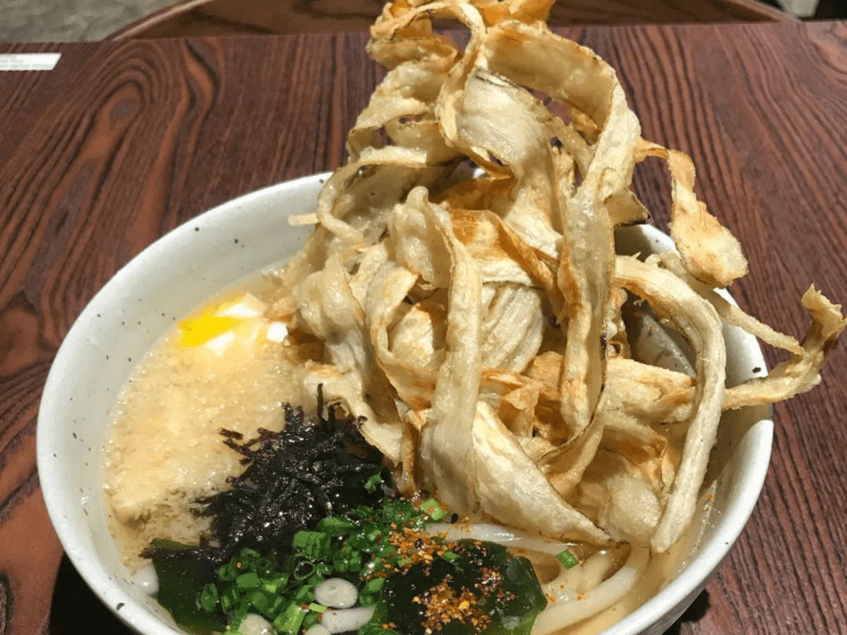 The burdock tempura udon.
