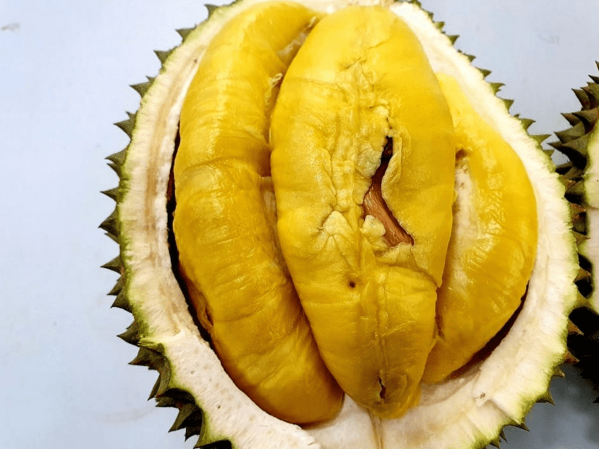 Durian Fiesta at Goodwood Park Hotel