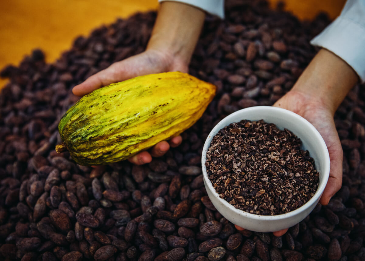 twenty questions with janice wong_hungrygowhere_cacao fruit and nibs