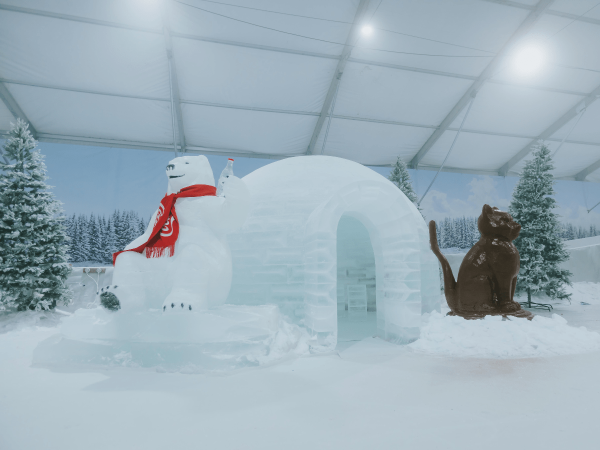 Igloo