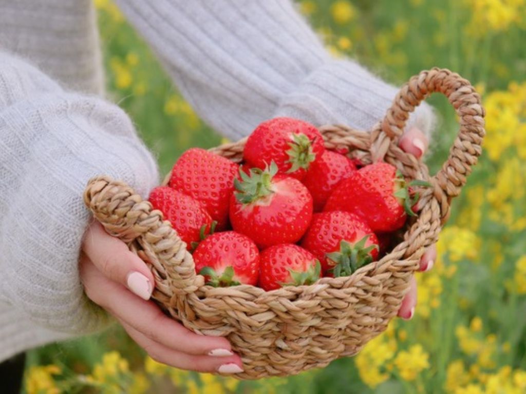 03 ev-liho k-strawberry series-go-reong farms korea-HungryGoWhere
