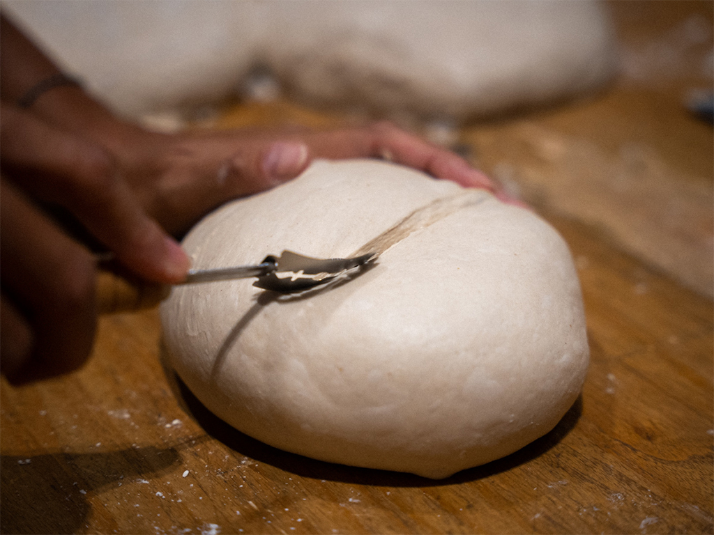 12 gh sourdough - Starter Lab - bread -HungryGoWhere