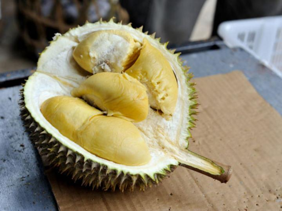 Everything you need to know about durians