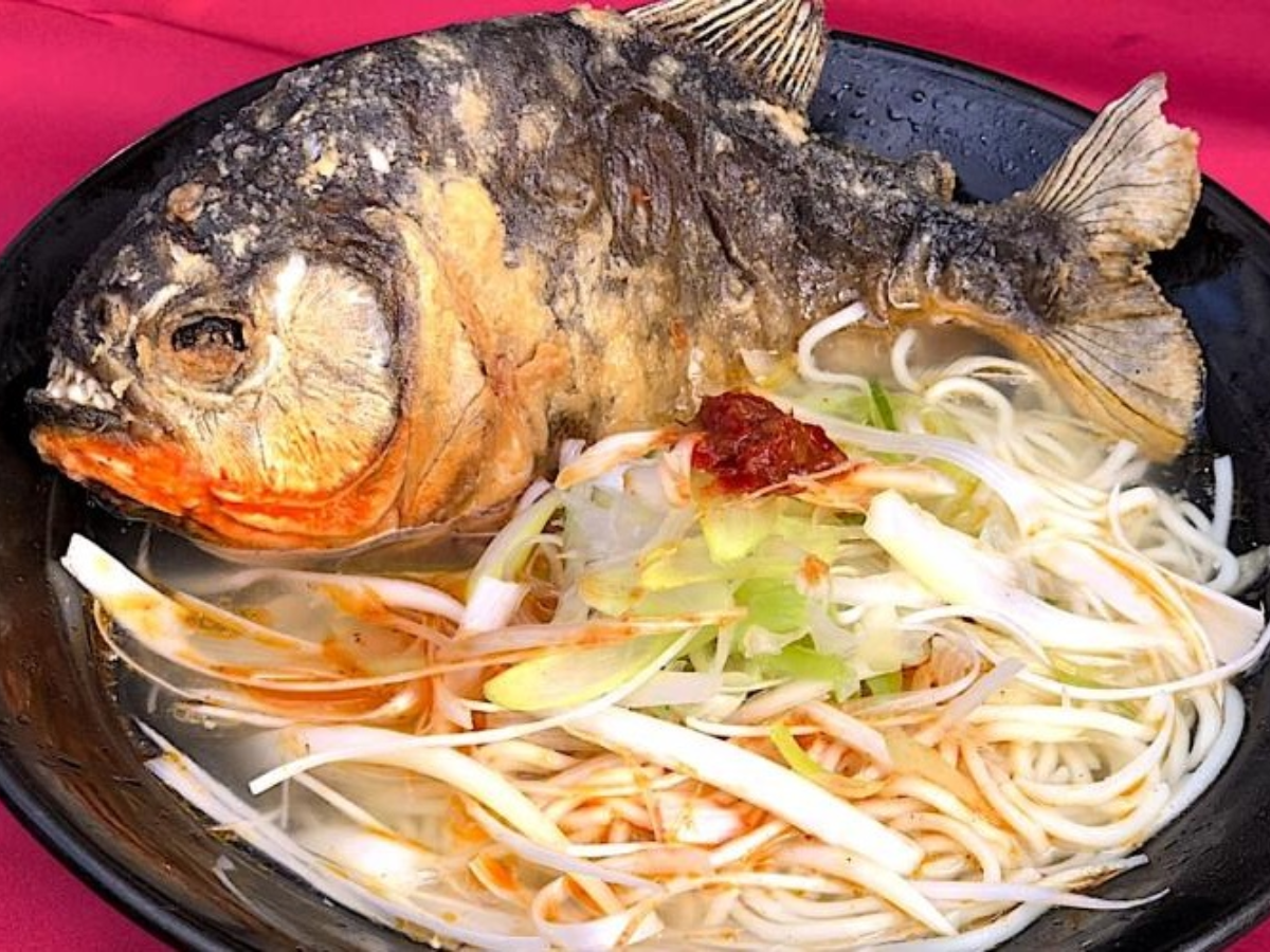 NINJA Café & Bar: Ninja cafe in Japan is serving piranha ramen, teeth and all