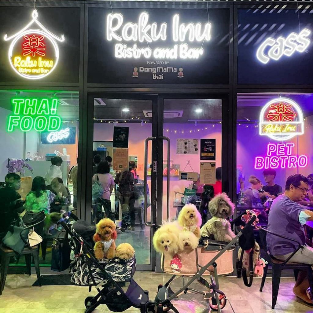12 ev-pet-friendly bars singapore-raku inu bistro-hungrygowhere