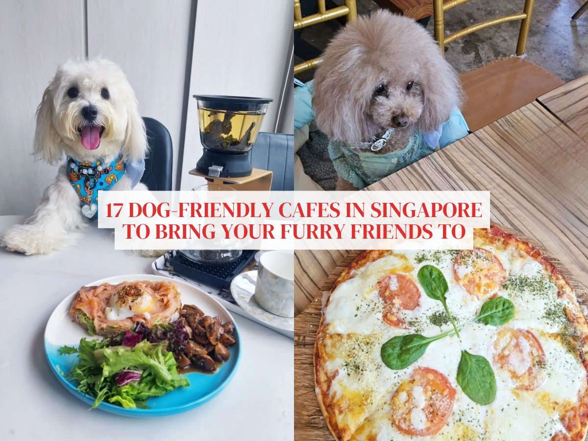 17 dog cafes in Singapore that are great hangout spots for you and your fur-kids