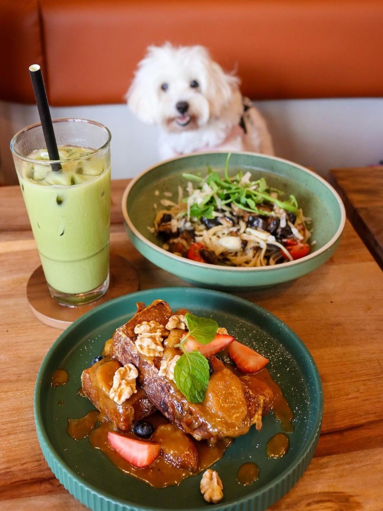 Dog cafes in Singapore