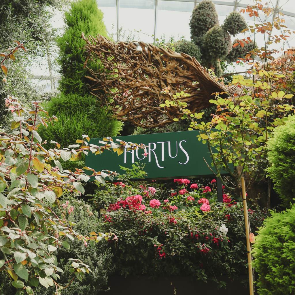 It feels like we’re in a secret fairy garden. Photo: Phyllis Leong/HungryGoWhere Hortus Singapore