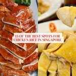 15 of the best chicken rice in Singapore you need to try