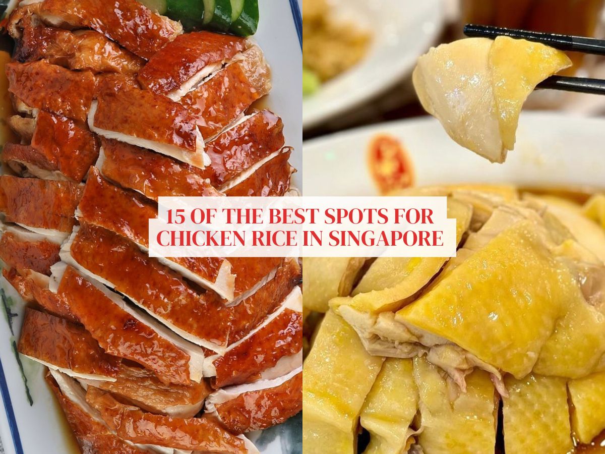 15 of the best chicken rice in Singapore you need to try