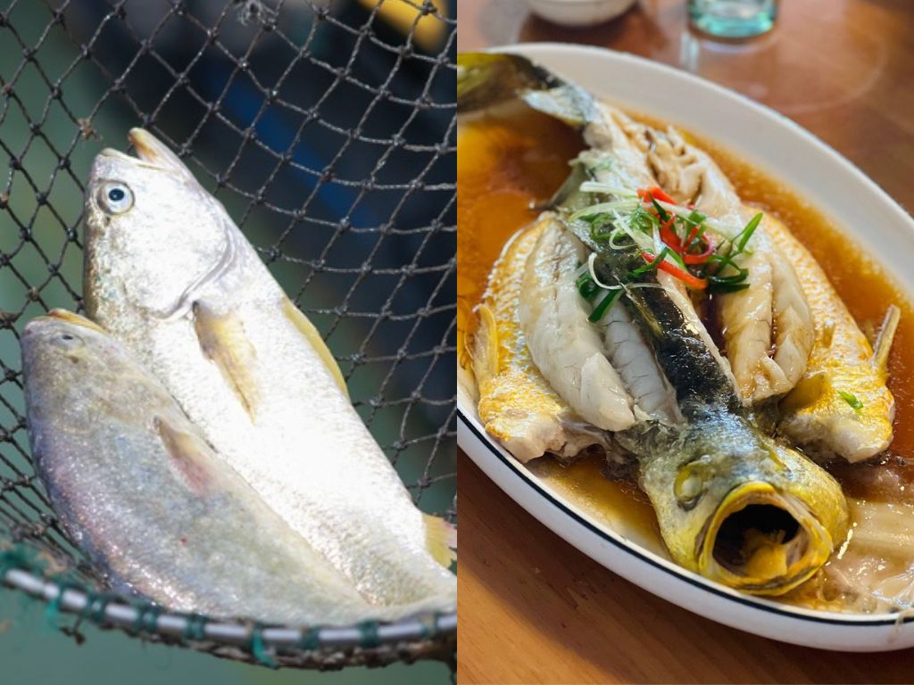From the net to the plate. Photos: Putien and Shannon Yap/HungryGoWhere putian china