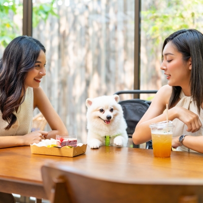 Pet-friendly