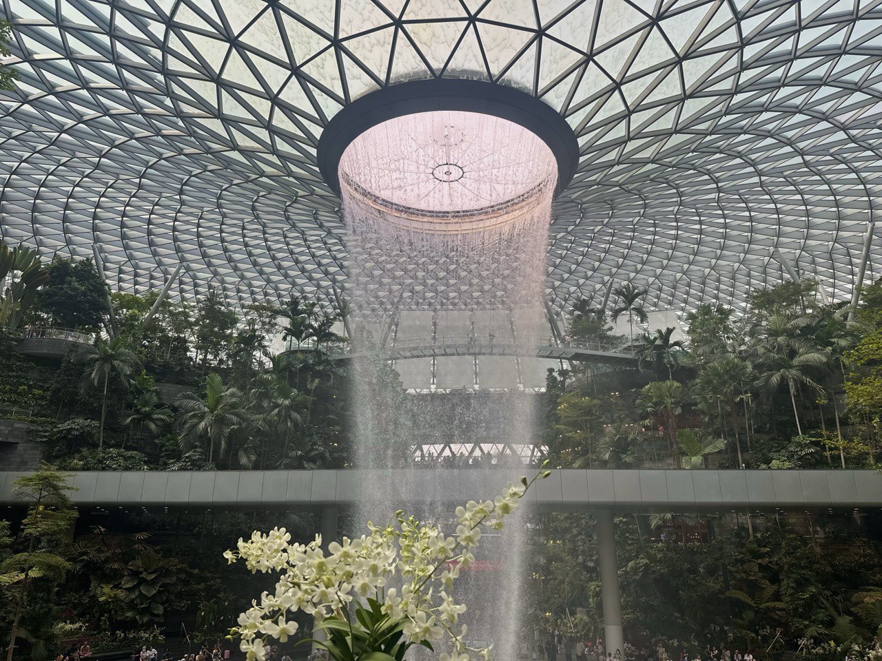 Jewel Changi Airport food trail
