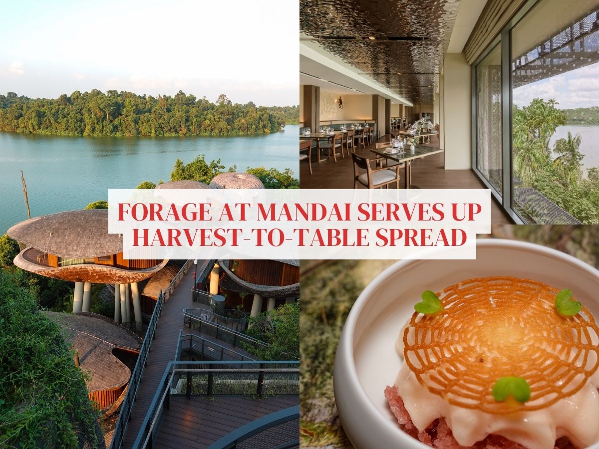 Go for the views at Forage at Mandai Rainforest Resort, but stay for its harvest-to-table spread