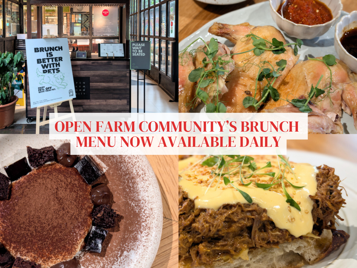 Open Farm Community extends its popular weekend brunch into a daily affair