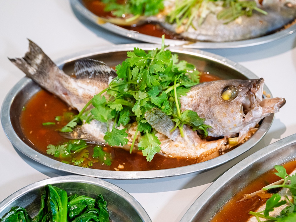 Grouper at Hee Hee Hee Steam Fish. Photo: Abdul Rahim Anwar/HungryGoWhere Hee Hee Hee Steamed Fish