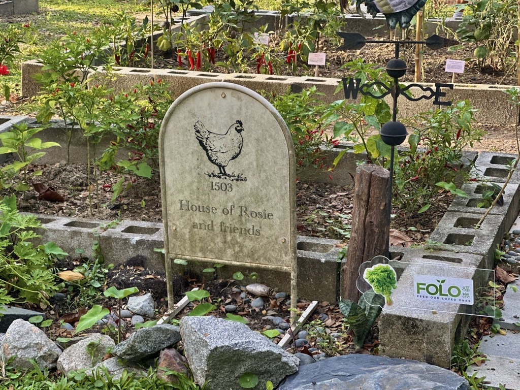 Photo: Shannon Ong/HungryGoWhere curly's dempsey