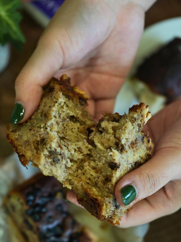 Taiyo Camp Club at Chef X