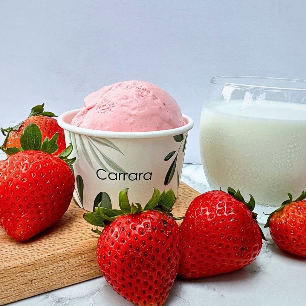 fun things to do with kids singapore