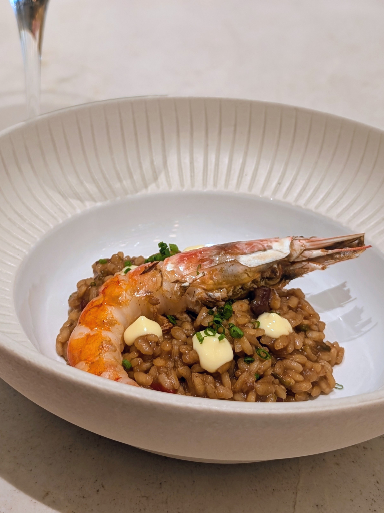 Noa by Olivia Marti Martinez