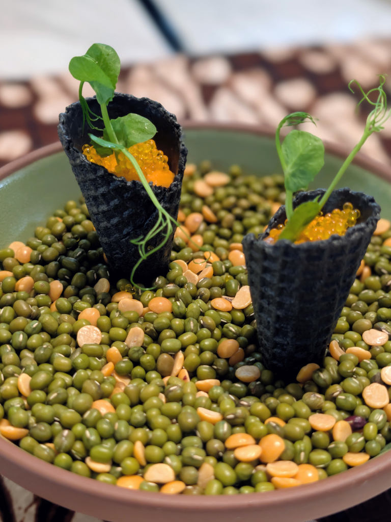 hathaway autograph varel singapore