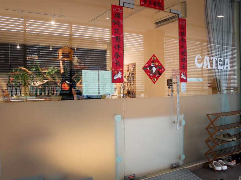 catea