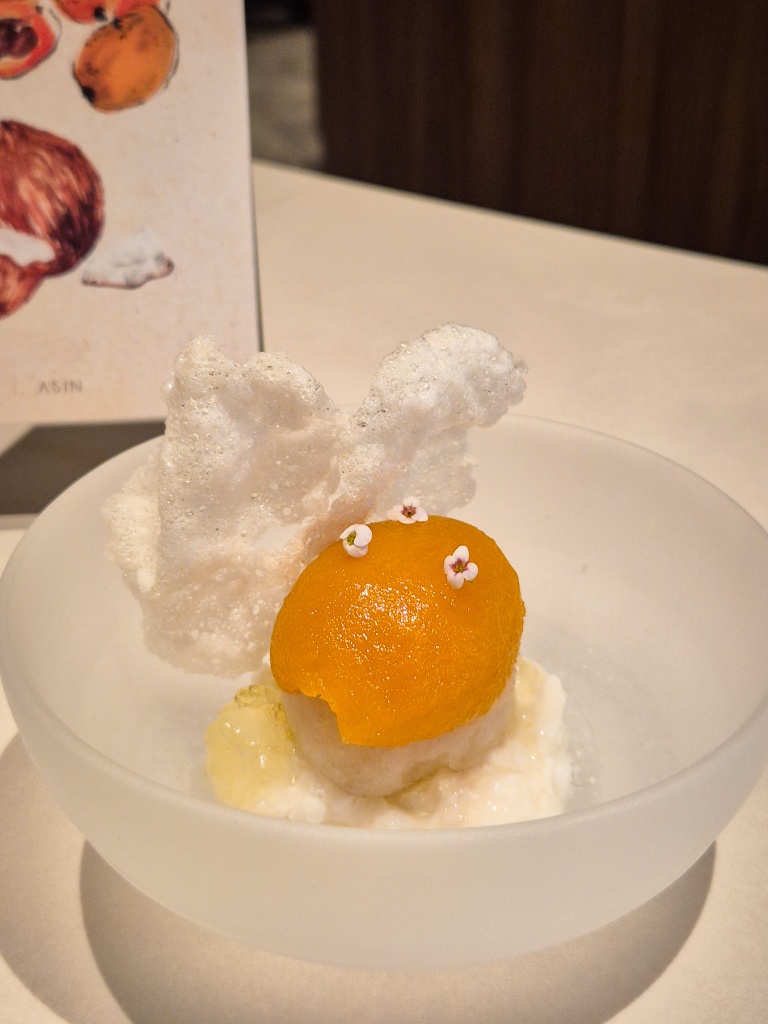 Biwa honey sago — so healthy tasting, you’ll forget this was a dessert. Photo: Sarah Chua/HungryGoWhere Asin Singapore