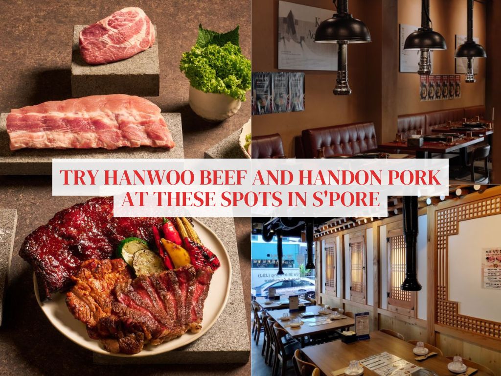 9 places for premium Hanwoo beef & Handon pork in Singapore