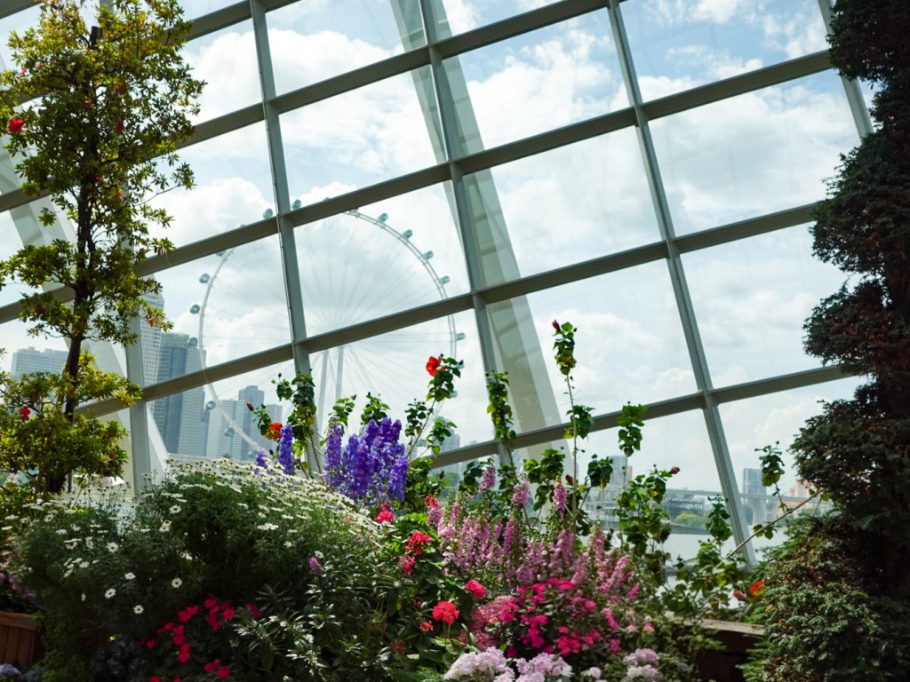 Yes, the restaurant is in the Flower Dome itself, which means free entry before or after the meal, and a breezy buggy ride to premises, too. Photo: Sarah Chua/HungryGoWhere Marguerite Singapore