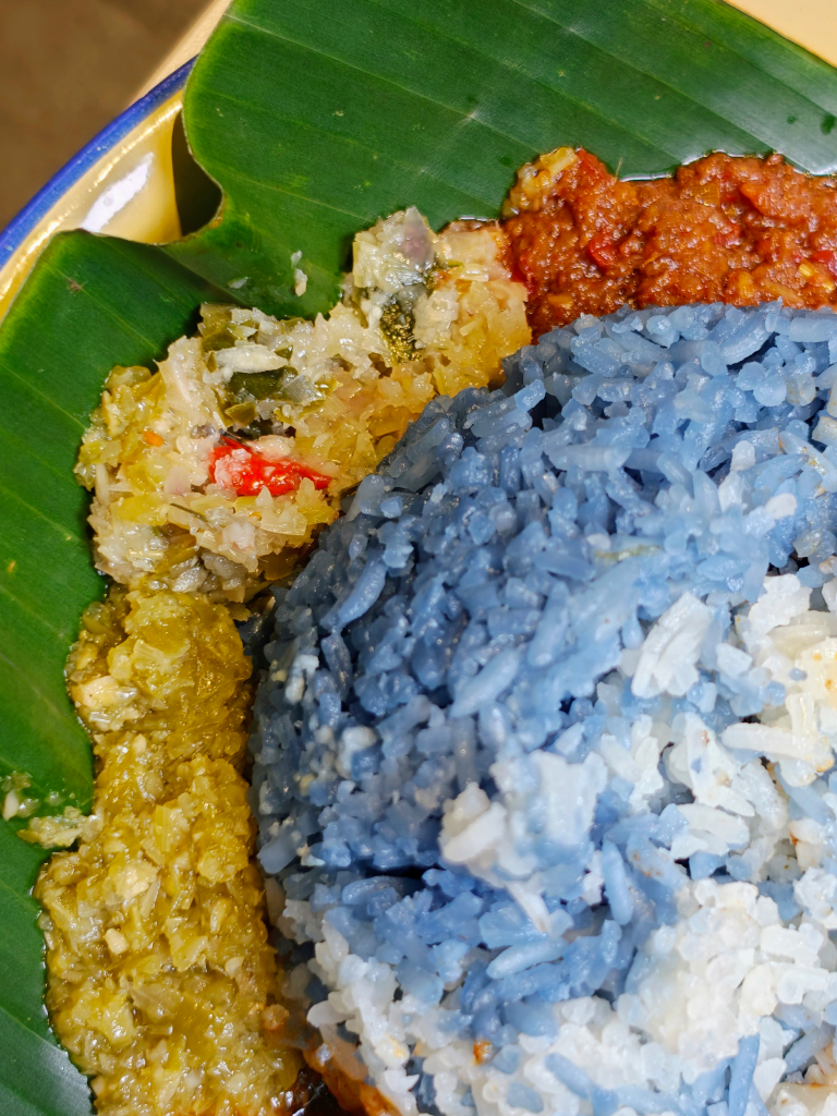 nyonya next door one shenton