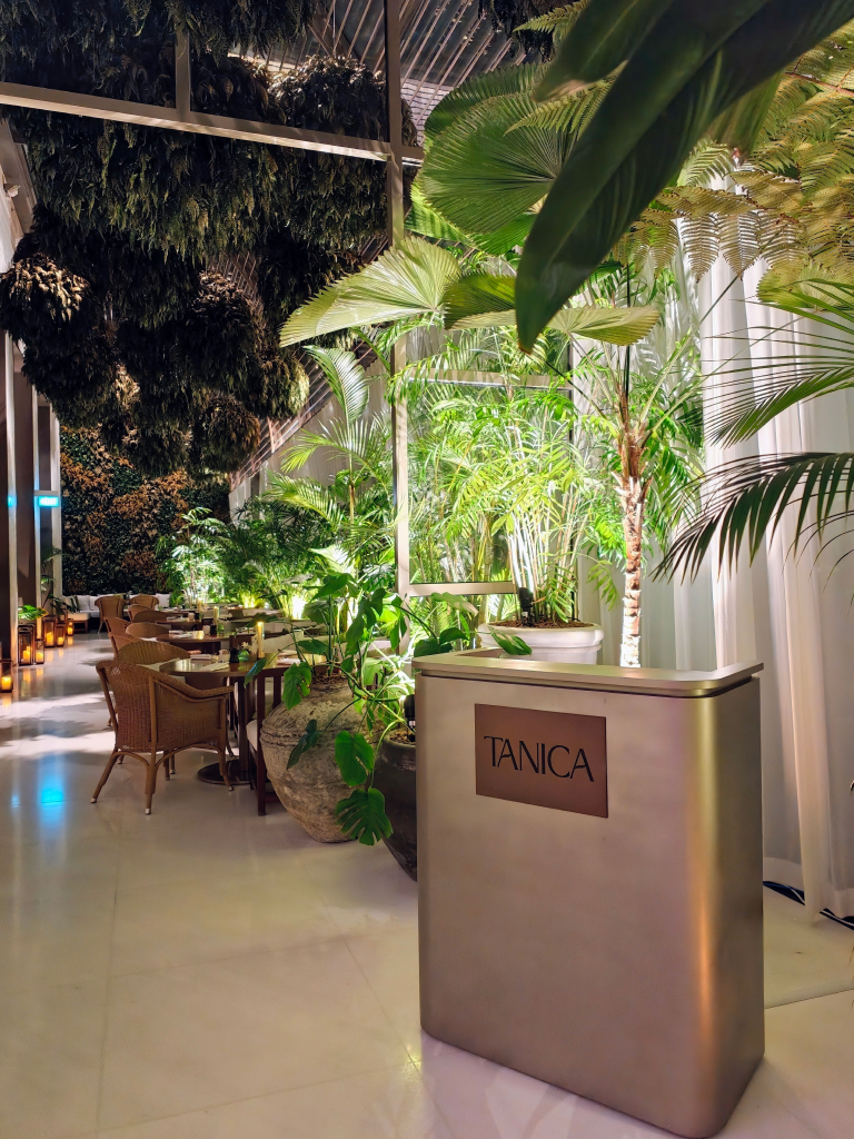 tanica singapore