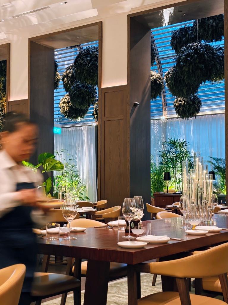 tanica singapore